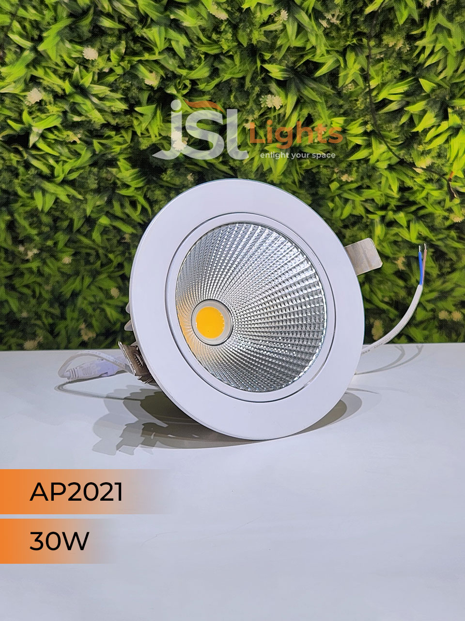 30W White Recessed COB Spotlight 2021 Downlight for Home Ceiling with Driver