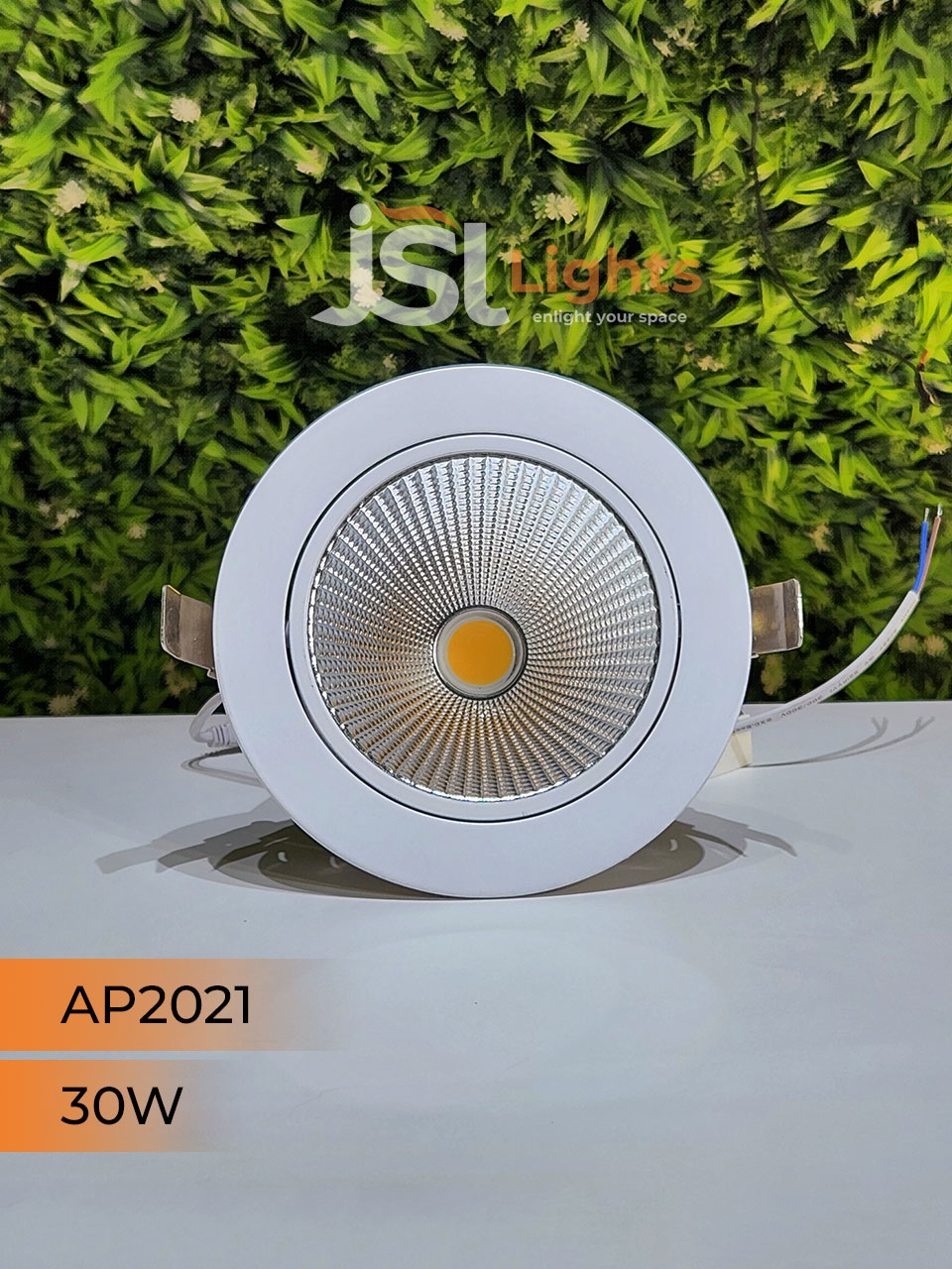 30W White Recessed COB Spotlight 2021 Downlight for Home Ceiling with Driver