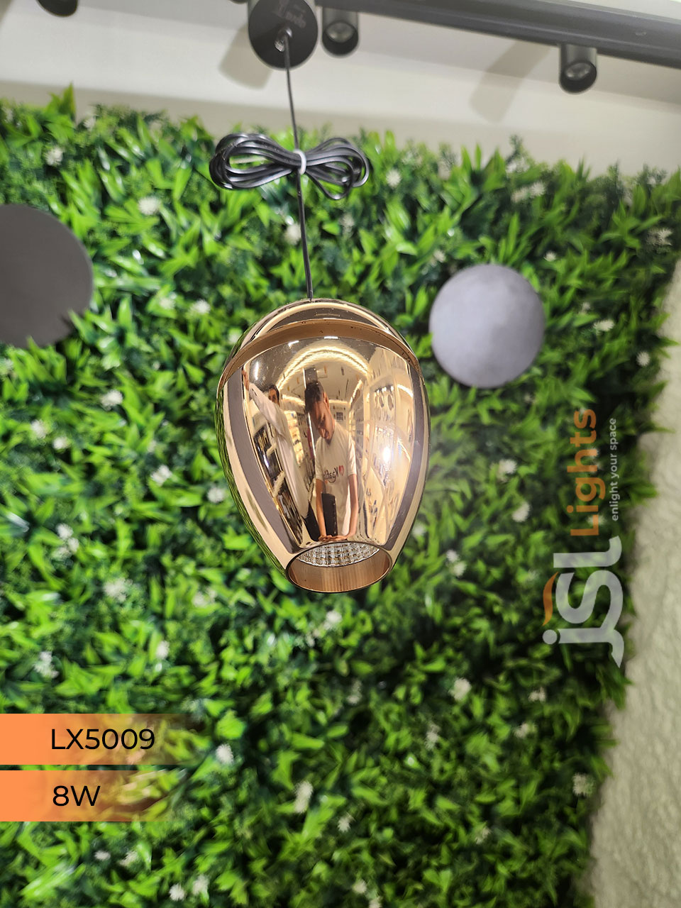 8W LX 5009 French Gold Fancy Hanging Lights for Home Ceiling Pendant Light with 3000K LED Color