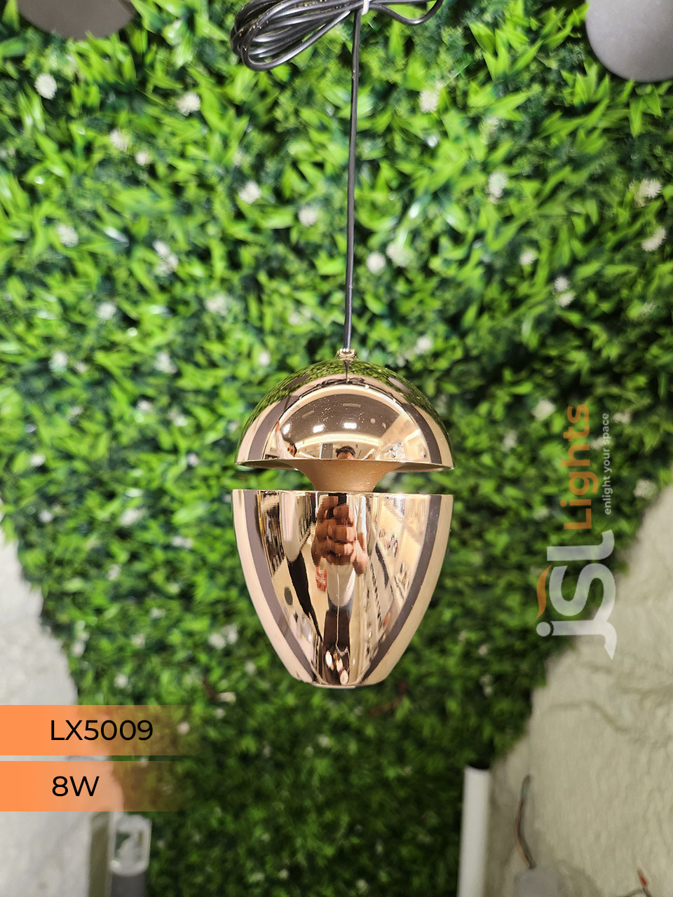 8W LX 5009 French Gold Fancy Hanging Lights for Home Ceiling Pendant Light with 3000K LED Color