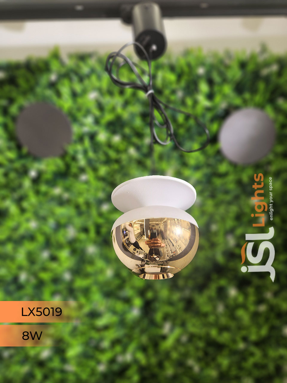 8W LX 5019 French Gold Fancy Hanging Lights for Home Ceiling Pendant Light with 3000K LED Color