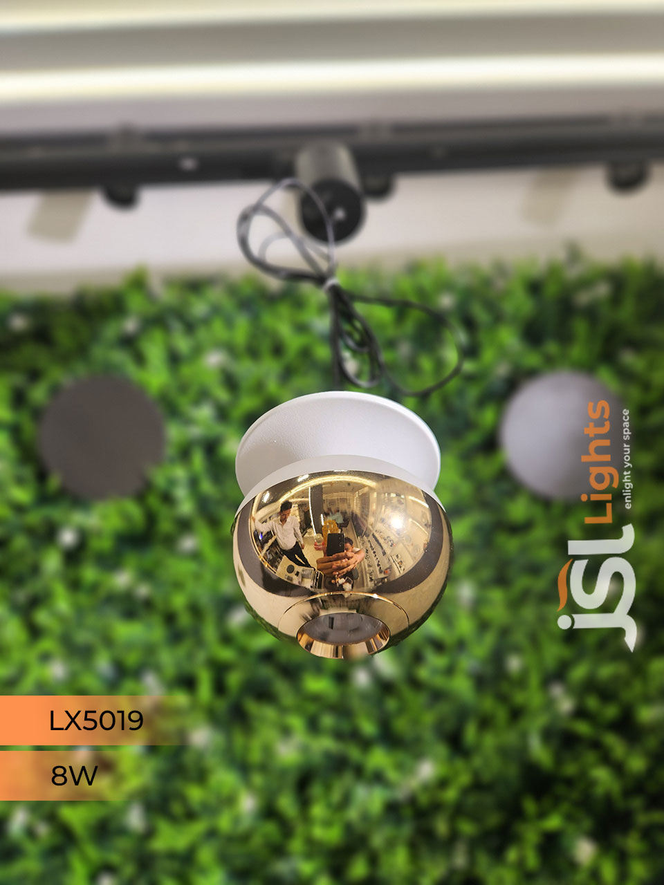 8W LX 5019 French Gold Fancy Hanging Lights for Home Ceiling Pendant Light with 3000K LED Color