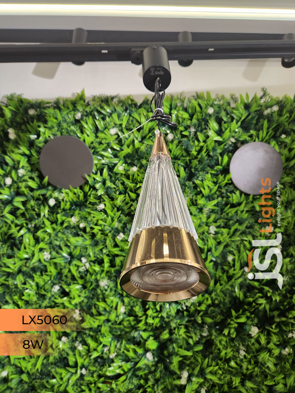 8W LX 5060 French Gold Hanging Light for Home Ceiling Pendant Light Warm White with Hanging Wire