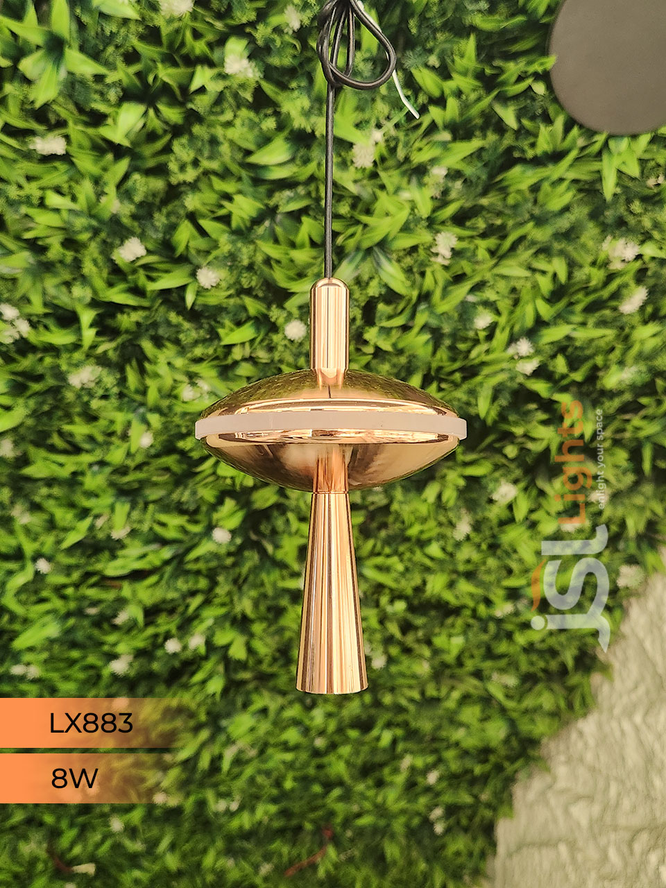 LX 883 8W Gold Surface Hanging Light for Home Ceiling Pendant Light Warm White with Hanging Wire