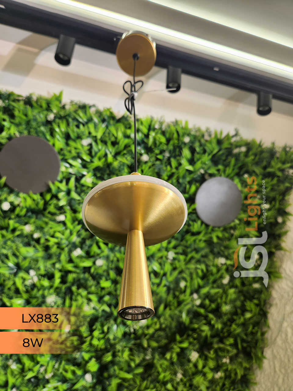 LX 883 8W Gold Surface Hanging Light for Home Ceiling Pendant Light Warm White with Hanging Wire