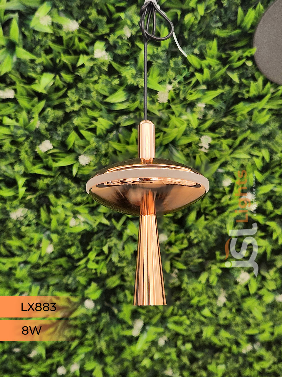 LX 883 8W Rose Gold Surface Hanging Light for Home Ceiling Pendant Light Warm White with Hanging Wire
