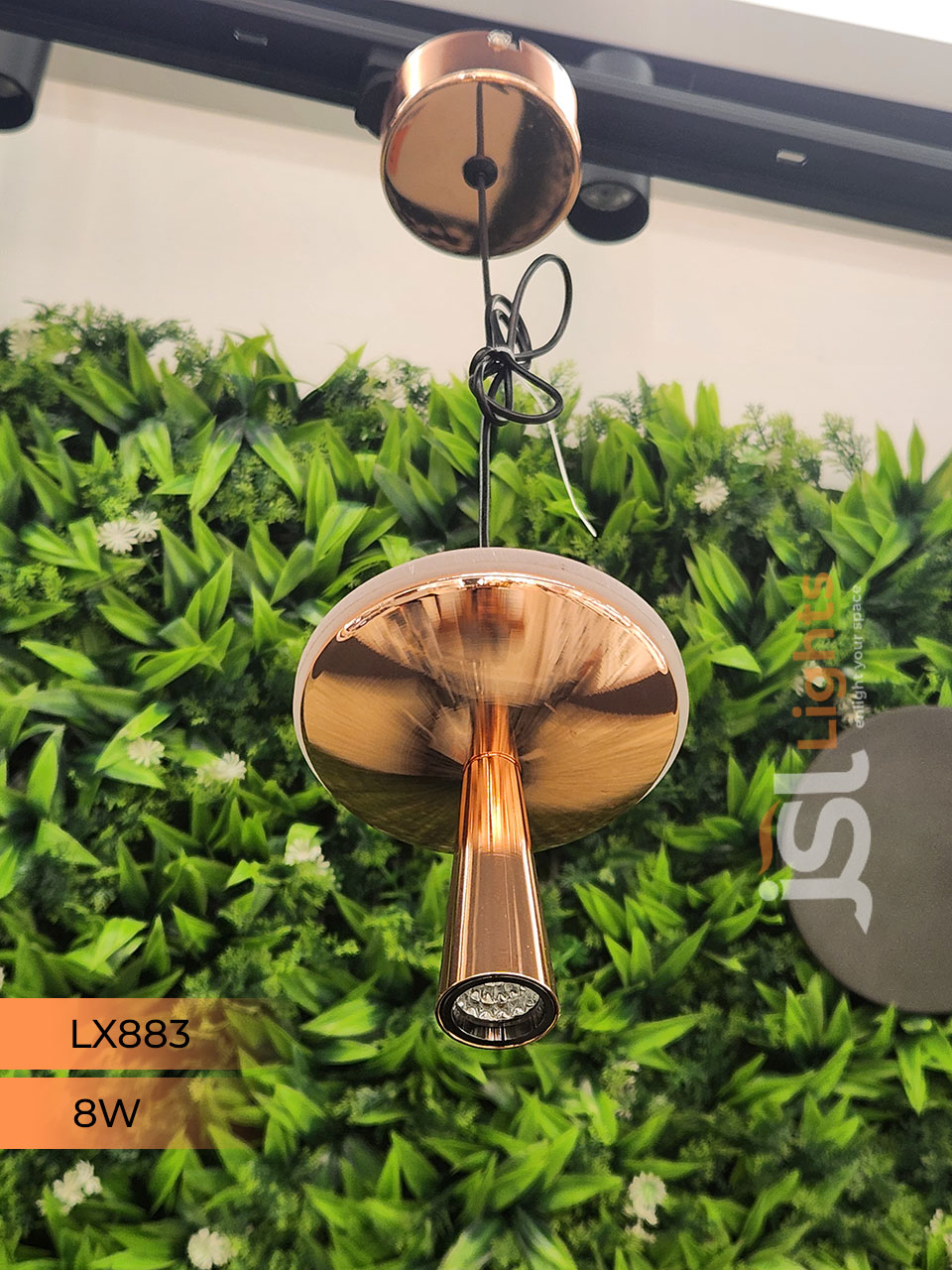LX 883 8W Rose Gold Surface Hanging Light for Home Ceiling Pendant Light Warm White with Hanging Wire