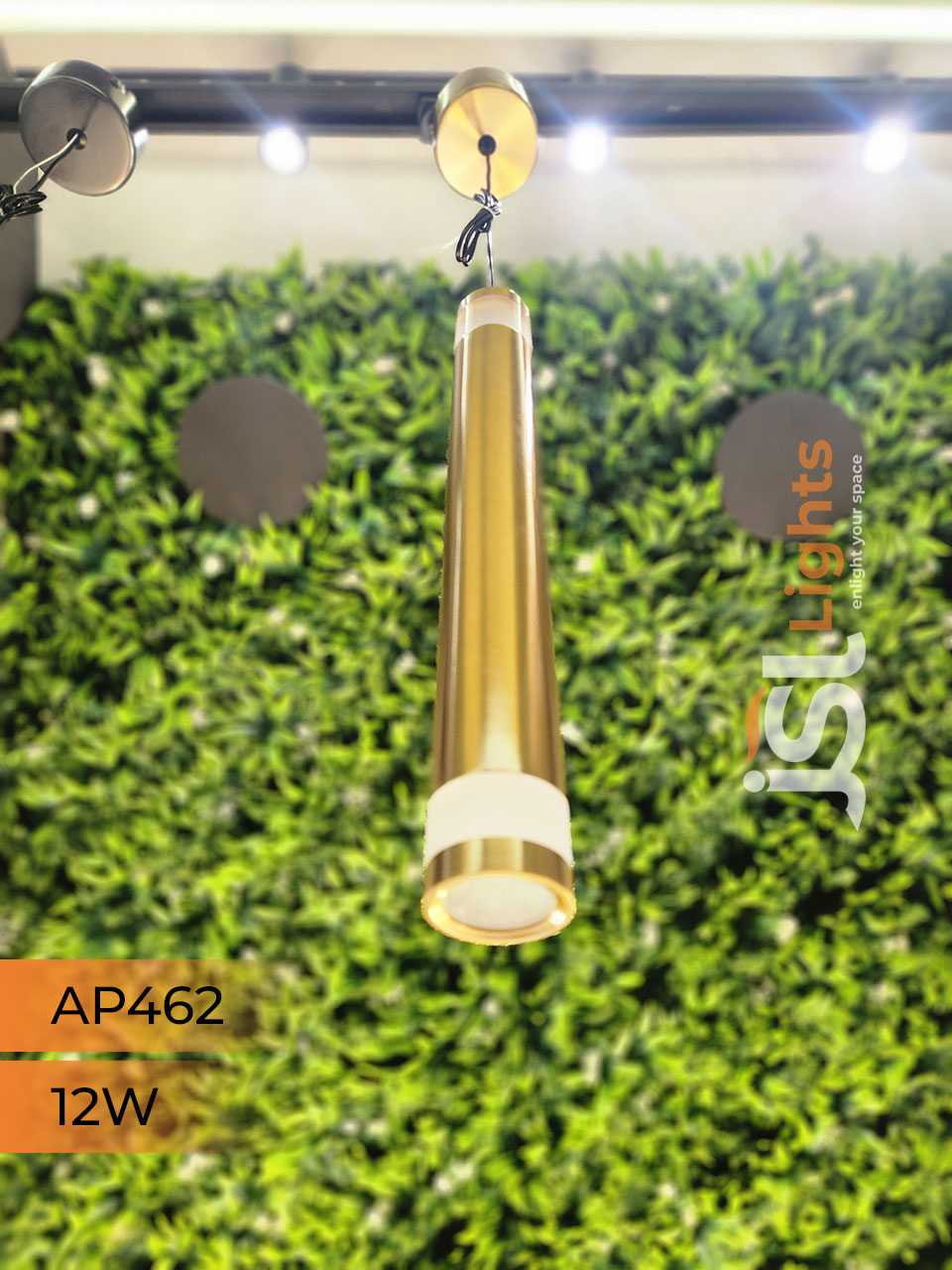 AP 462 12W Gold Surface Hanging Light for Home Ceiling Pendant Light 3CCT with Hanging Wire