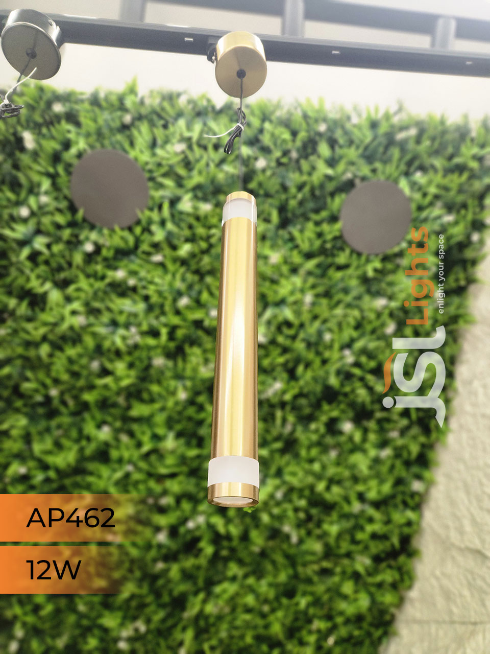 AP 462 12W Gold Surface Hanging Light for Home Ceiling Pendant Light 3CCT with Hanging Wire