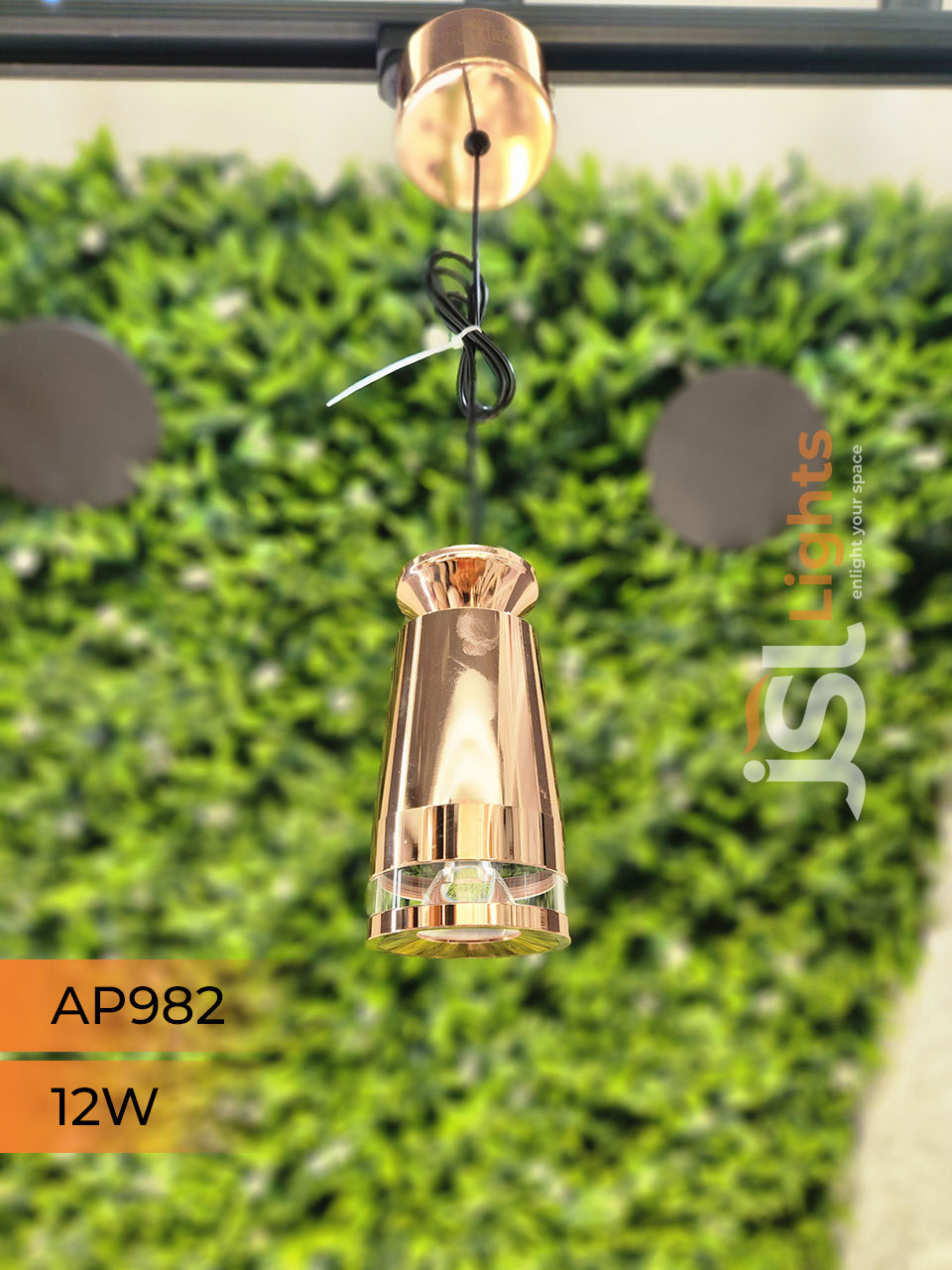 AP 982 12W Rose Gold Surface Hanging Light for Home Ceiling Pendant Light with Hanging Wire
