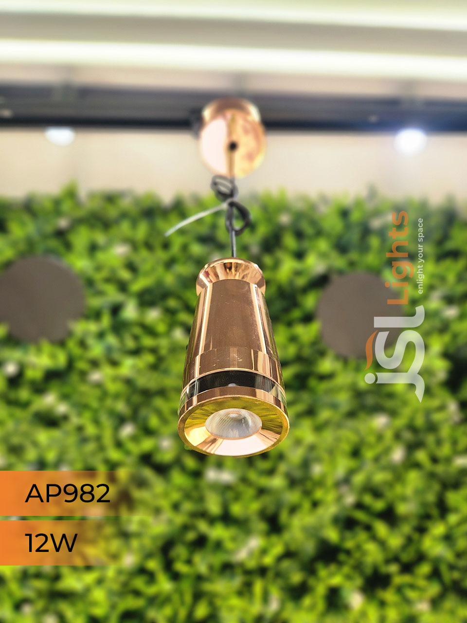 AP 982 12W Rose Gold Surface Hanging Light for Home Ceiling Pendant Light with Hanging Wire