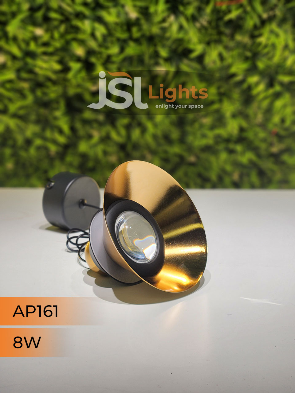 AP 161 12W GD Surface Hanging Light for Home Ceiling Pendant Light with Hanging Wire