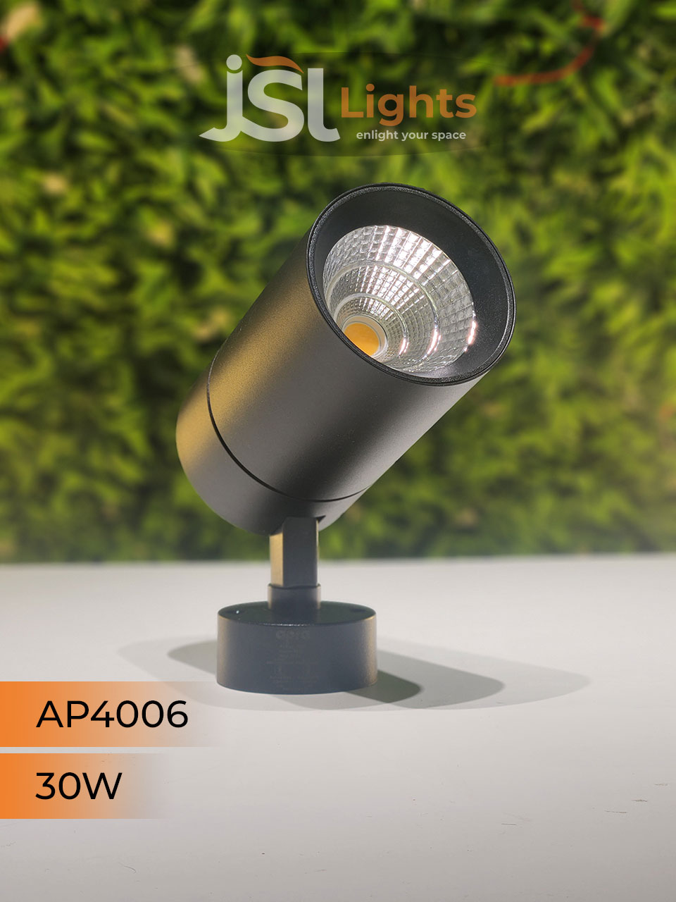 Apra 4006 30W Black Wall Spotlight Focus Light for Showroom