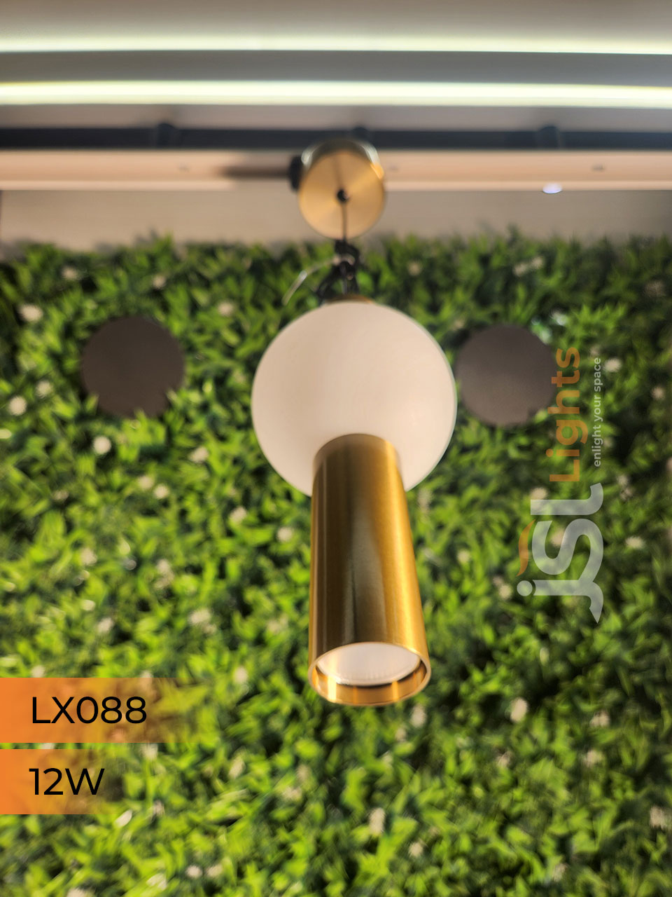 LX 088 12W GD Surface Hanging Light for Home Ceiling Pendant Light with Hanging Wire